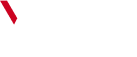 VAZZ GROUP logo